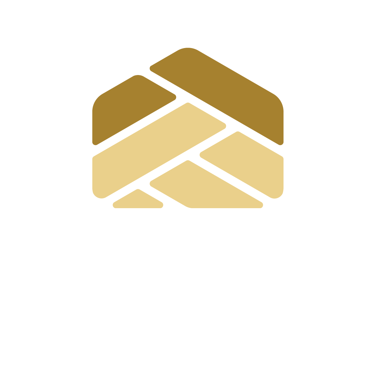 CONAVI